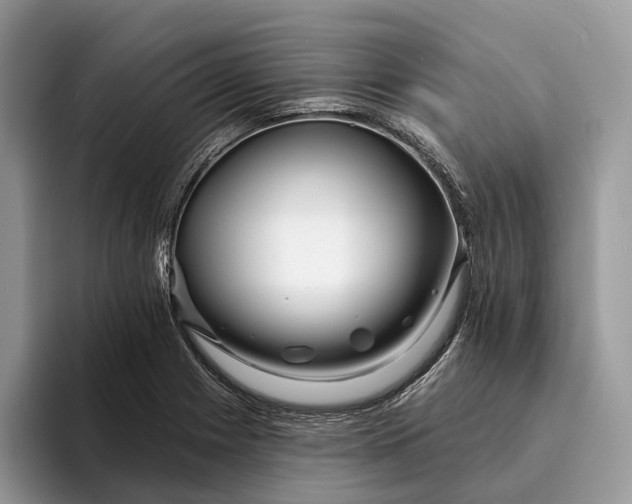 X0000094171225200711091118