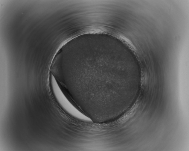 X0000094171226200711091118