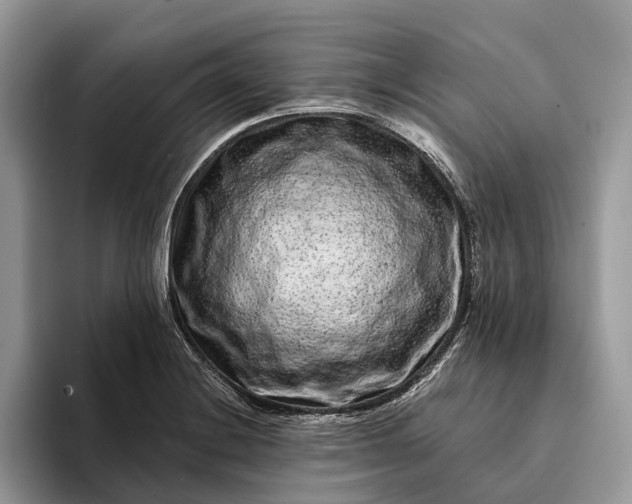 X0000094171228200711091118