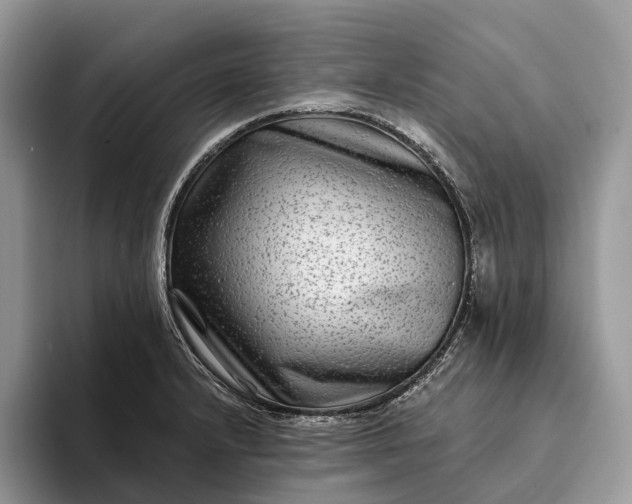 X0000094171232200711091118