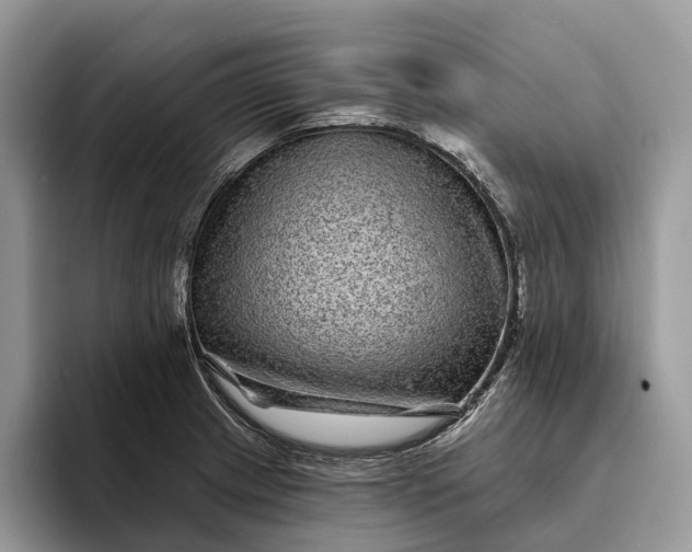 X0000094171233200711091118