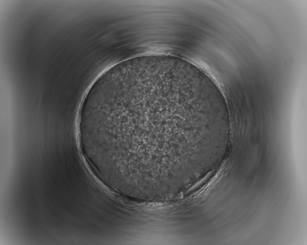 X0000094171235200711091118