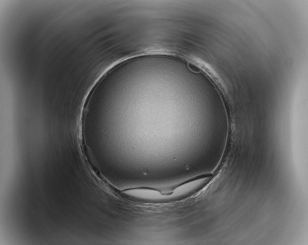 X0000094171236200711091118