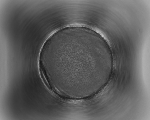 X0000094171237200711091118