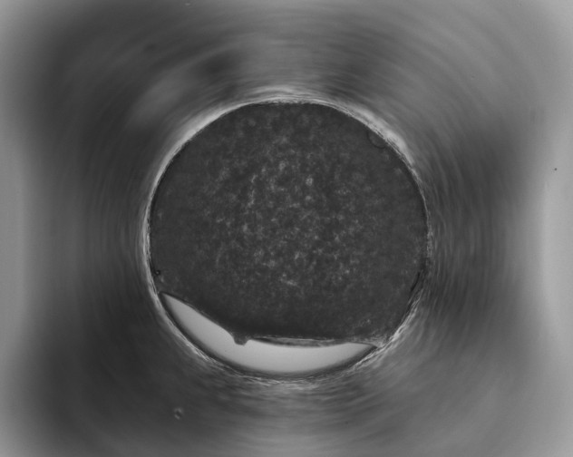 X0000094171239200711091118