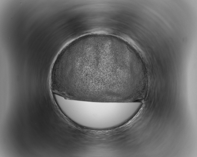 X0000094171240200711091118