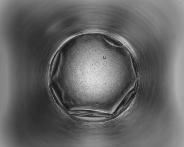 X0000094171244200711091118