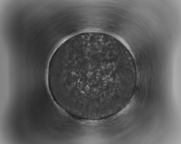 X0000094171245200711091118