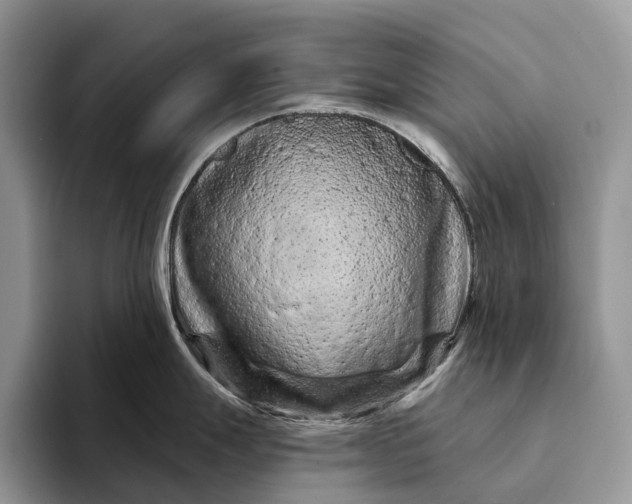 X0000094171247200711091118