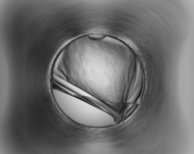 X0000094171248200711091118