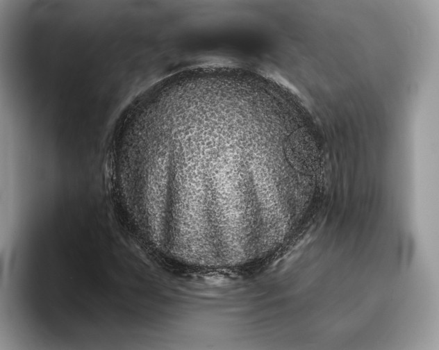 X0000094171255200711091118
