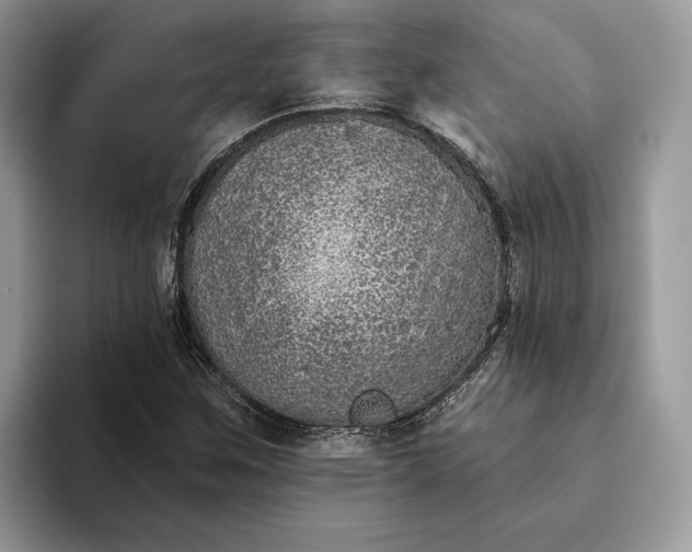 X0000094171259200711091118