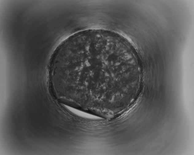 X0000094171263200711091118