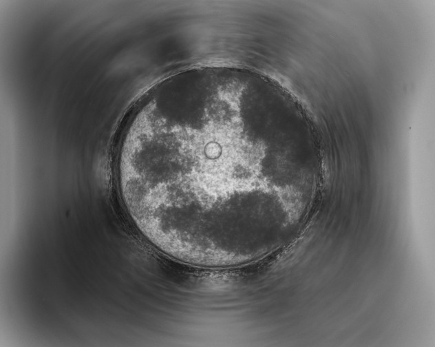 X0000094171266200711091117