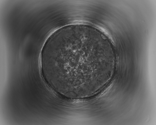 X0000094171275200711091117