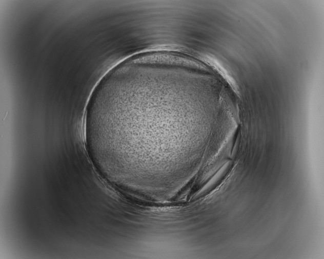 X0000094171276200711091117