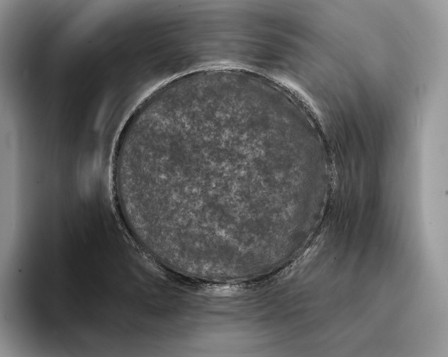 X0000094171278200711091117