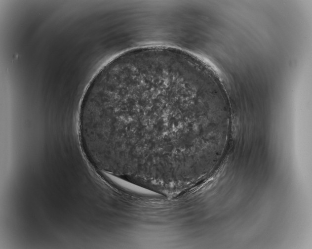X0000094171279200711091117