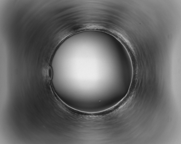X0000094171281200711091117