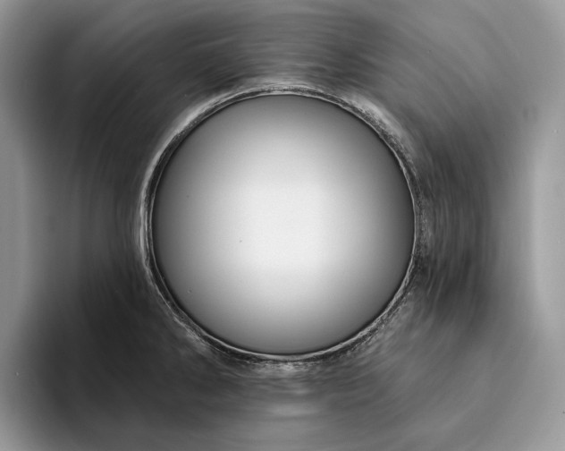 X0000094171286200711091117