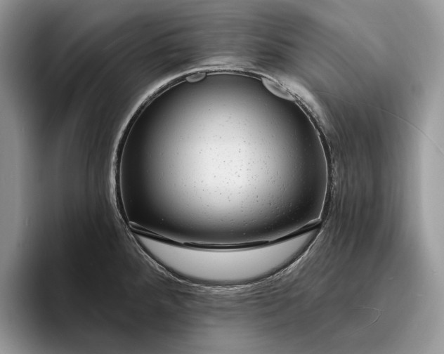 X0000094171288200711091117