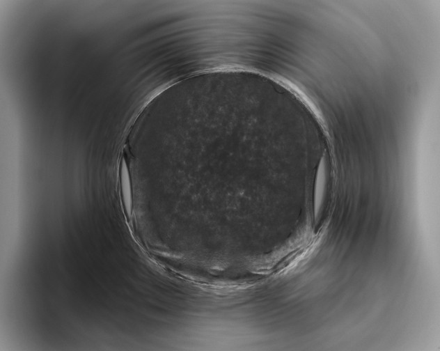 X0000094171289200711091117