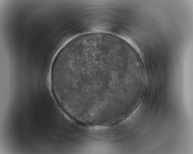 X0000094171294200711091117