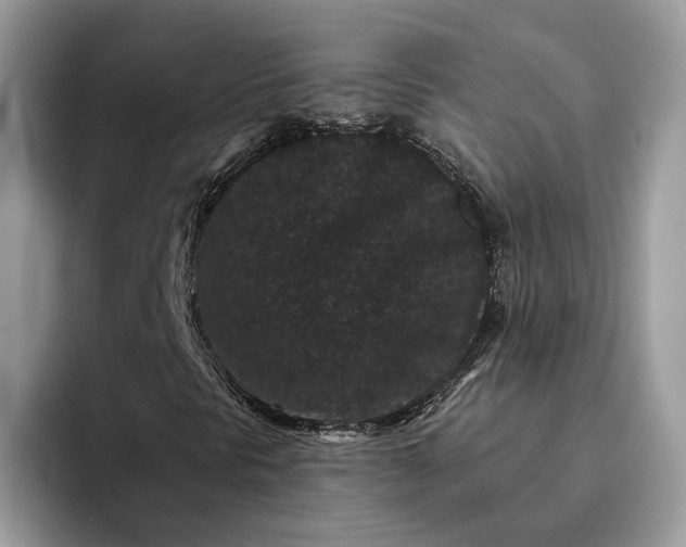 X0000094171297200711091117