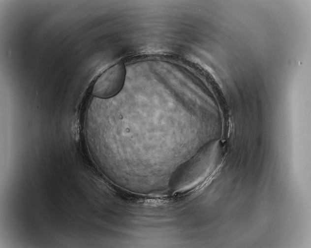 X0000094171306200711091117