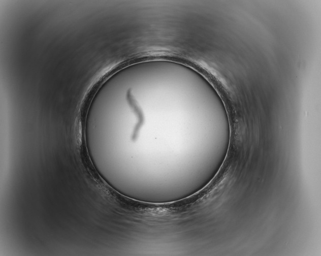 X0000094171317200711091117