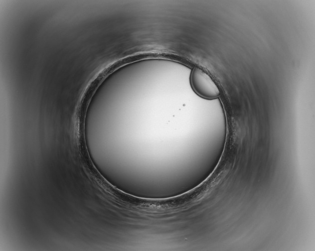 X0000094171318200711091117