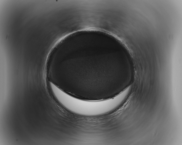 X0000094171319200711091117