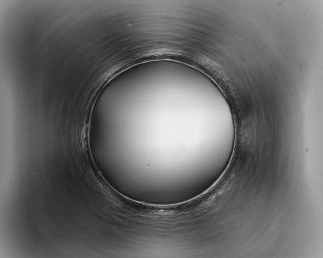X0000094171321200711091117