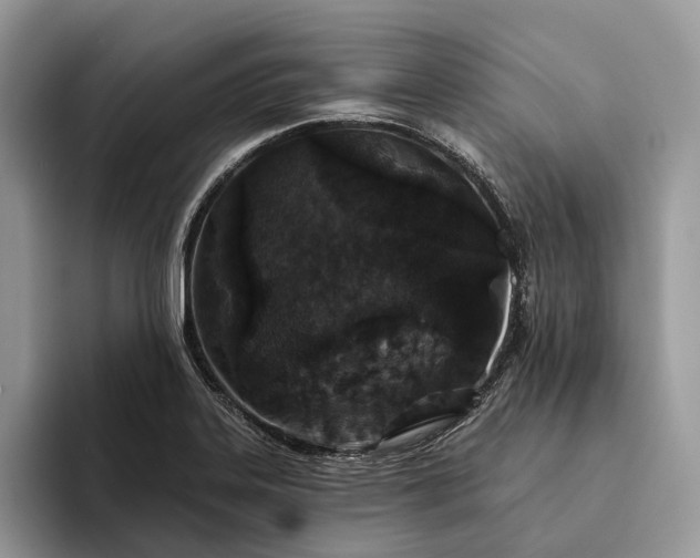X0000094171323200711091117