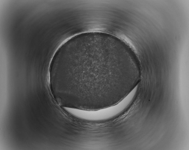 X0000094171324200711091117