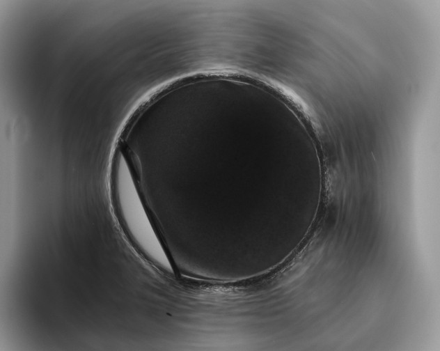 X0000094171327200711091117