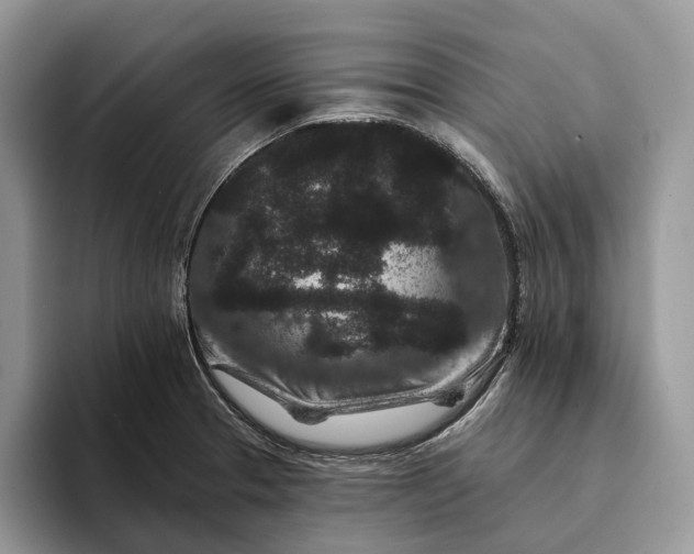 X0000094171329200711091117
