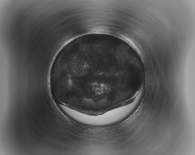 X0000094171331200711091117