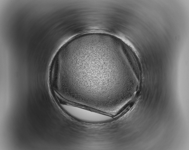 X0000094171333200711091117