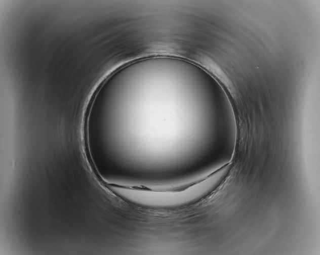X0000094171339200711091117