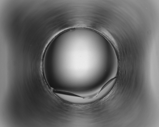 X0000094171340200711091117