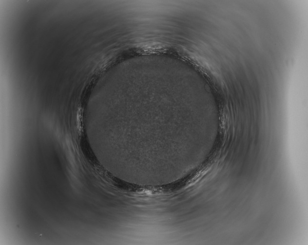 X0000094171346200711091117