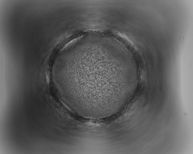 X0000094171350200711091117