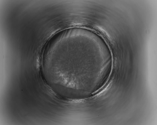 X0000094171353200711091116