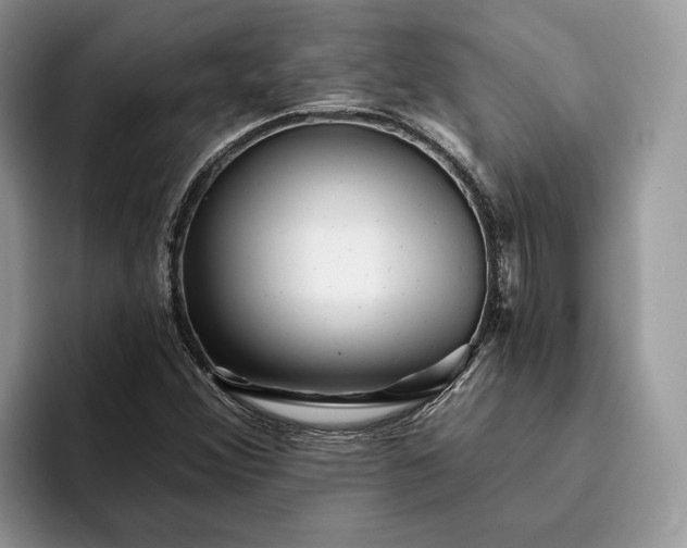X0000094171356200711091116