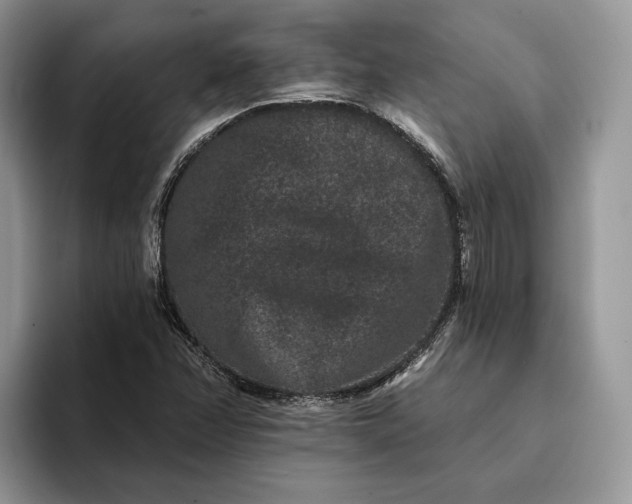 X0000094171358200711091116