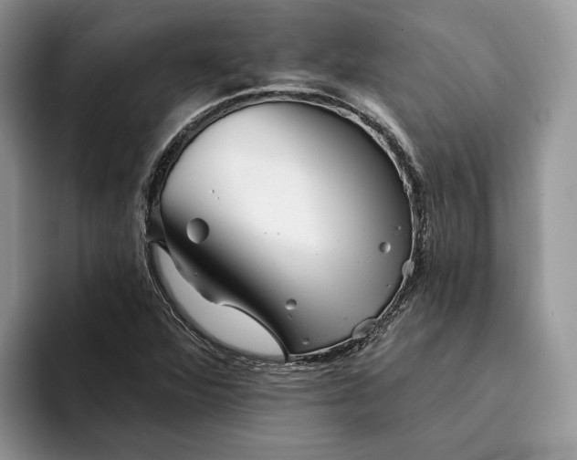 X0000094171360200711091116
