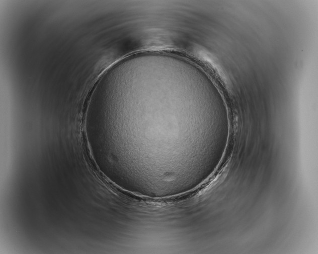 X0000094171361200711091116
