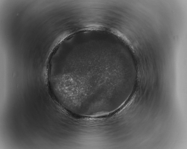 X0000094171362200711091116
