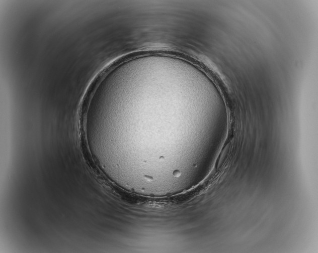 X0000094171364200711091116